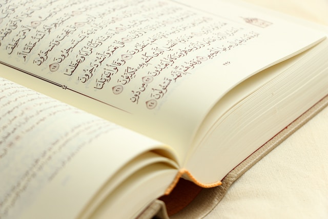 Quran vocabulary